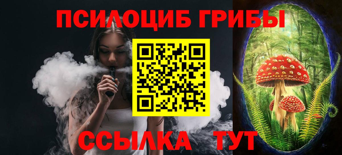 Галлюциногенные грибы Psilocybe  Вход с VPN  Железноводск 