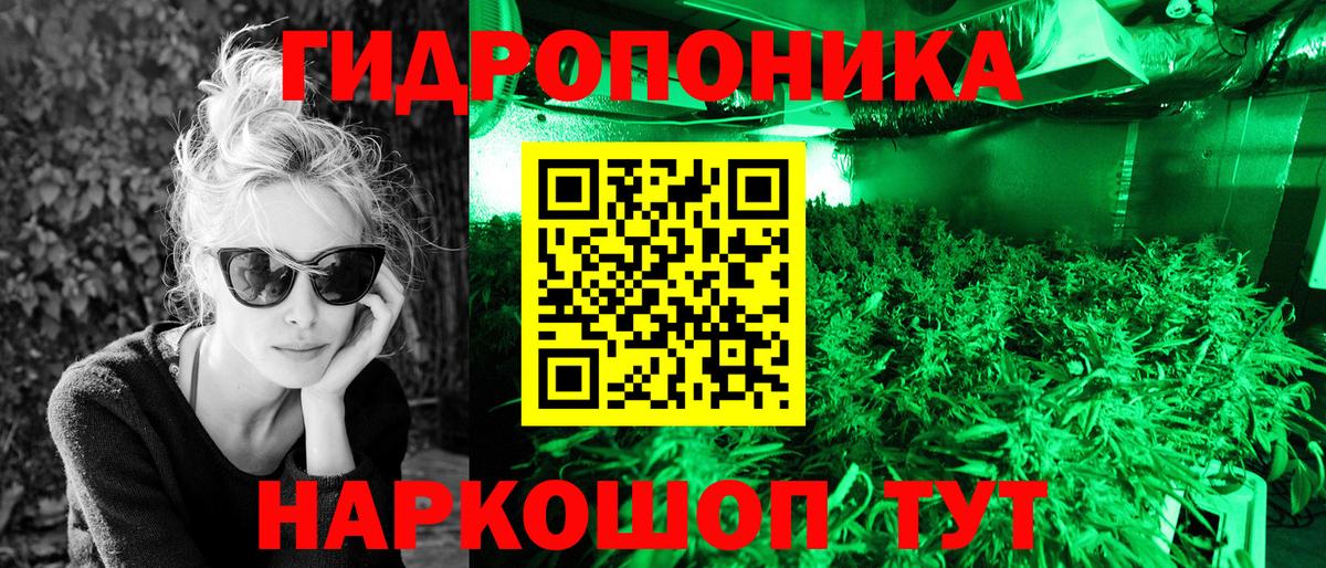 Канабис конопля Железноводск